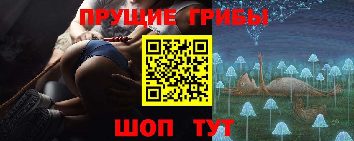 Галлюциногенные грибы MAGIC MUSHROOMS  Вход с VPN  Буйнакск 